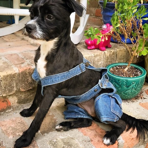 Meet your Posher, Tiffani - Picture 5 of 5